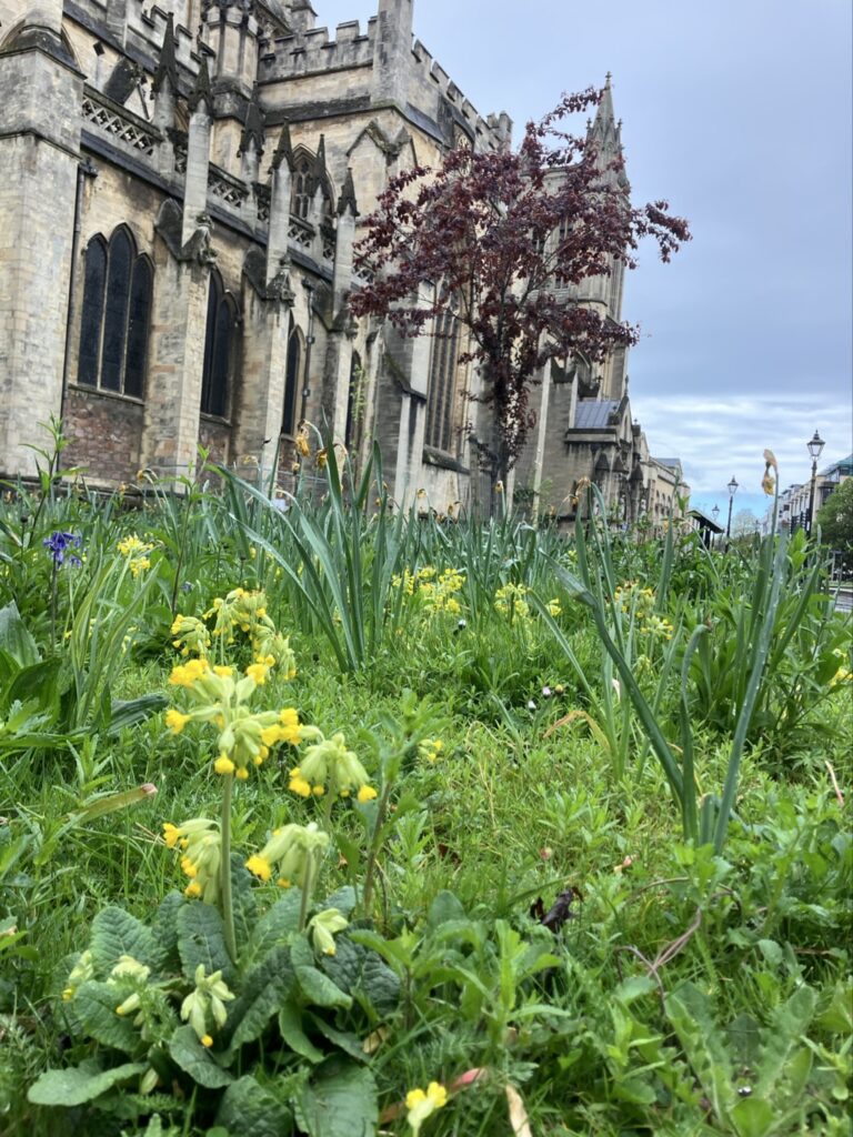 Image of Bristol Cathedral